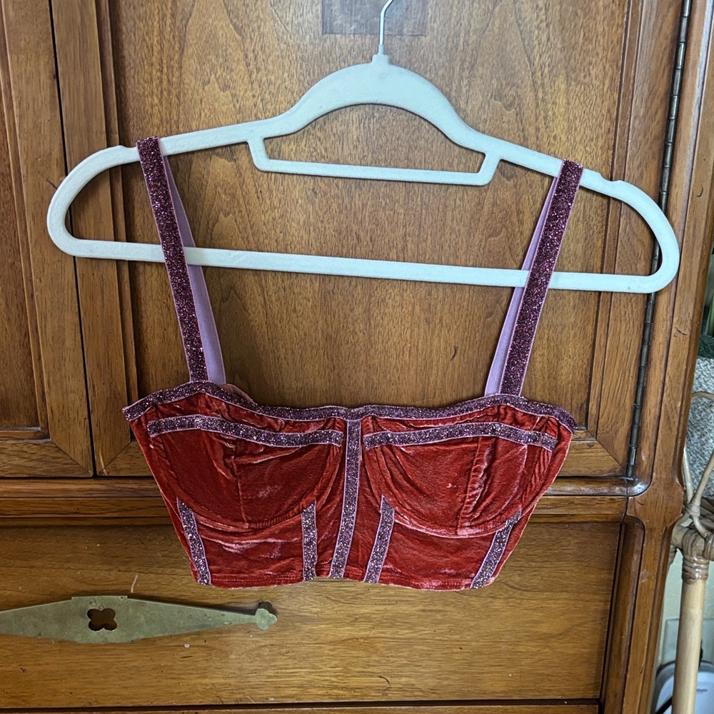 For Love & Lemons Velvet Corset Sabina Bra Top in Terracotta